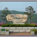 코모레비 이미지