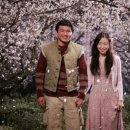 너는 내운명 이미지