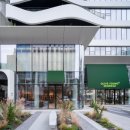 올리브영 이미지