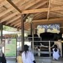 예산목장 이미지