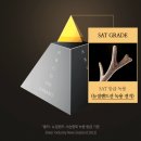 황실의료기,건강식품 | 부모님 건강선물 추천, 어버이날 선물 조선황림 발효침향환 활력 케어