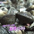 벌교택배 네이버블로그