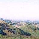 차다목장 이미지