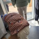 여주-1043 이미지