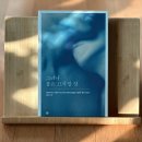 김종관 | [김종관 감독] 사라지고 있습니까 책 소개 후기