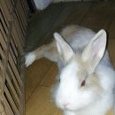 하나로병원 앞 이미지