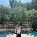 세종파크 | 세종 베어트리파크 봄꽃축제 후기 당일 나들이 추천 코스