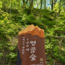 "전국 최대 규모 낙엽송 명품숲 이라더니.. 시원해서 걷기 좋아요" 16km 트레킹 명소 이미지