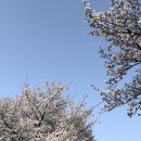 (주)이마트 둔산점 | 4월 첫 주 일상 이마트 랜더스데이 오픈런 추천템