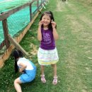 유빈목장 이미지