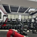 베럴휘트니스 이미지