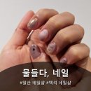 백신초등학교 후문 이미지