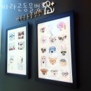 파라곤동물병원 | 광진구 군자동 동물병원 파라곤동물병원 진료시간 접근성 이용후기