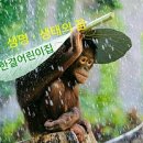 한결사랑어린이집 이미지