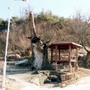 신당2리 이미지