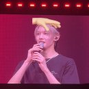 하울링 | 하울링 하러 갔다온 후기