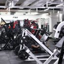 피지컬 뷰티 이미지