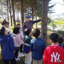 부강유치원 이미지