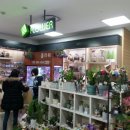 사당역 홈플러스 앞 이미지