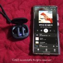 303밧데리