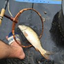 합천손맛낚시터 이미지