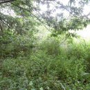 구산면582 이미지