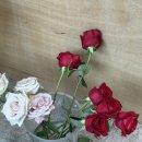 꼬모디자인스튜디오 네이버블로그