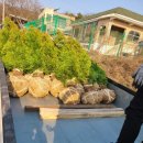 에메랄드그린 이미지