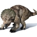 프로토케라톱스 이미지