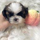 균영농장 이미지