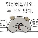 라포레캠핑장