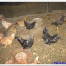 김선규농장 이미지