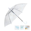 모닝글로리 이미지