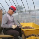 국화호수 이미지