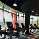 머슬핏 피트니스 이미지