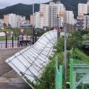 순천-11호 이미지