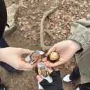 사족보행 | [등린이] 관악산 자운암능선 코스 사족보행 후기