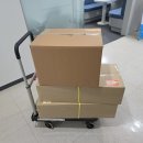 화천군 치매안심센터 | 2026년 컬러링 달력 100set 납품ㅣ따듯한 연말과 새로운 시작을 알리는, 화천군치매안심센터