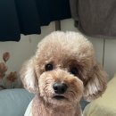 문앤문의원 이미지