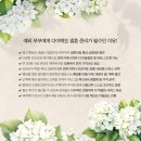 자르뎅 | 가성비 좋은 아이폰 스냅 블랑자르뎅 계약 후기 (+ 짝꿍 코드 할인 공유)