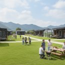 대지팜스 이미지