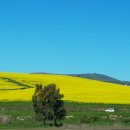 고래농장 이미지