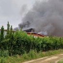 양영석농장 이미지