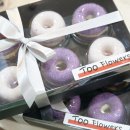 핑크랑보라 이미지