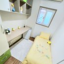 스테이오로지 이미지