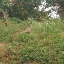 무성농장 이미지