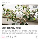 빈대 퇴치에 대한 프로개의 생각.blog 이미지