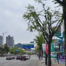 남춘천주유소 이미지