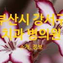 서울시온치과의원 이미지