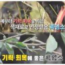 염소사랑농장 이미지